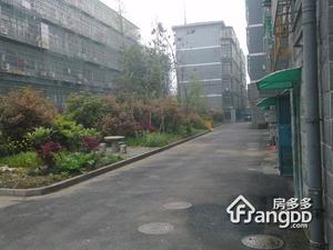 迎宾路小区小区图片