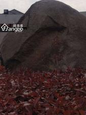 乐怡苑(奉贤)小区图片