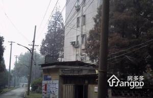 扬子九村小区图片