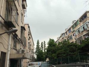 莘南路98弄小区图片