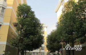 芙蓉园小区图片