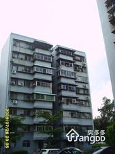 莲花一村小区图片