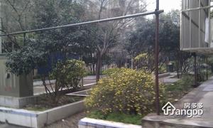 中科院植物园宿舍小区图片
