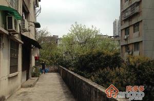 翠怡小区小区图片