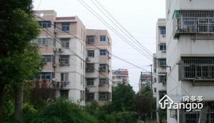 汽轮五村小区图片