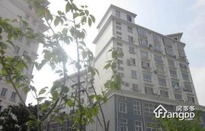 印湖山庄小区图片