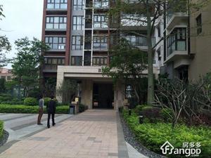 星河时代花园小区图片