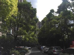 通河九村昌鑫家园小区图片