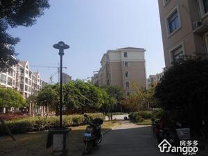 新大洲华庭苑小区图片