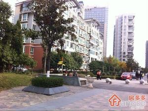 旭日华庭金棕榈小区图片