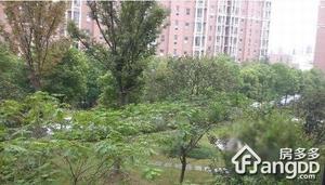 娃娃桥小区小区图片