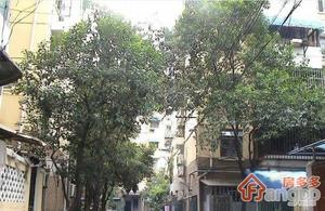 致和新村小区图片