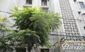 白鹭新村小区图片