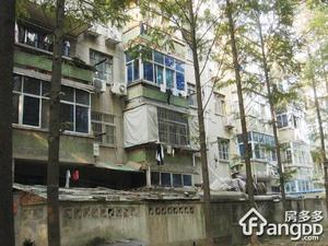 苹果都市小区图片
