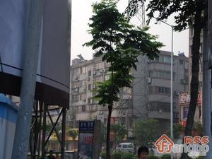 紫霞公寓小区图片