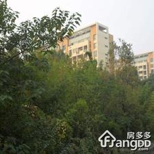 金鸡湖花园(住宅)小区图片