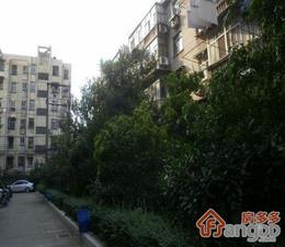 金川雅苑小区图片