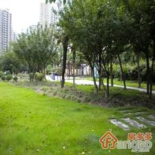 羽北小区小区图片