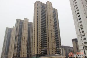 新城红树湾小区图片
