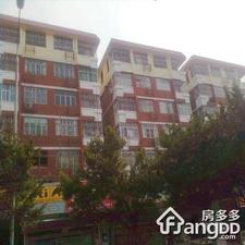 宝安73区住宅楼小区图片