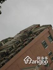 新鹏苑小区图片