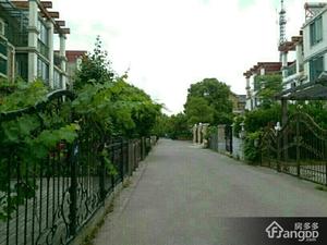 金港花园(别墅)小区图片