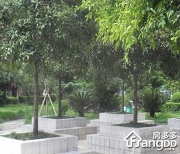 长寿苑小区图片