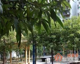 穗源阁小区图片