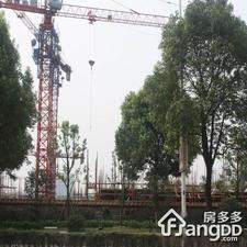 梧桐树花园小区图片
