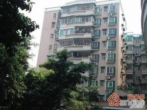 桥东新街小区小区图片