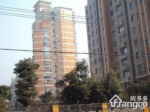 新民路小区小区图片