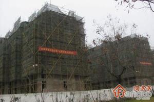 九龙湖别墅小区图片