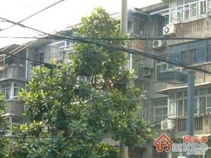 铜坊苑小区图片