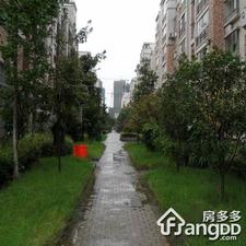 金枫美地小区图片