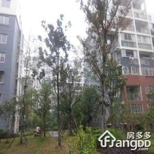 合家春天小区图片