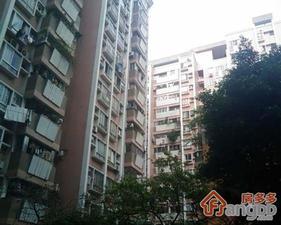 花季小区小区图片