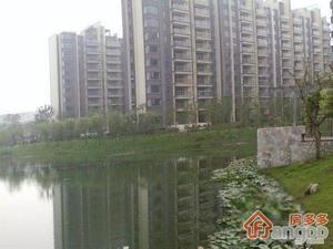 朗悦湾小区图片