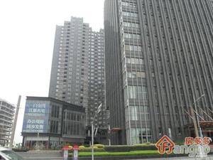 白金湾广场(公寓)小区图片
