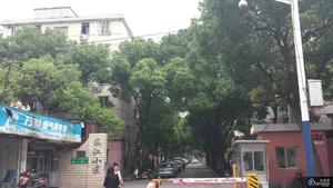 东风小区小区图片