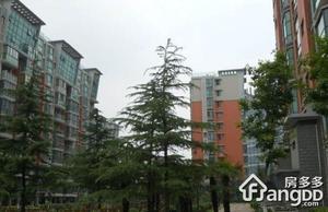 工农四村(星源佳苑)小区图片