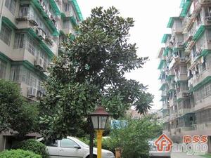 上宁新村小区图片