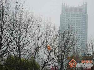 中环国际广场小区图片