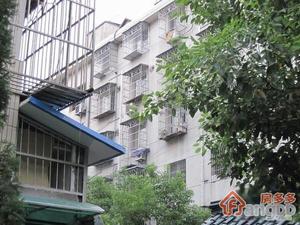 闸弄口新苑小区图片