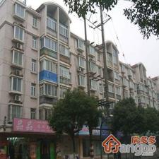 上南十一村小区图片