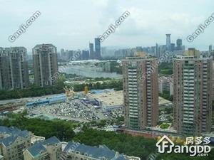 武警大厦小区图片