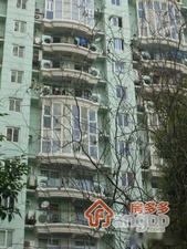 新加坡美术馆小区图片