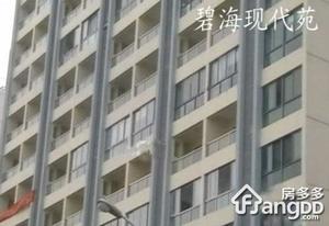 碧海现代苑小区图片