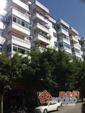增城滨海花园小区图片