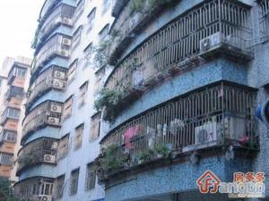 市政大院小区图片