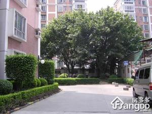 东圃公安宿舍小区图片